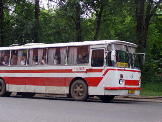 2955697
