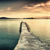 Group logo of Cricket Professionals